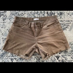 Carve Designs Oahu Shorts - Women’s 4” Inseam